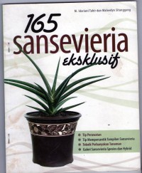 165 Sansevieria eksklusif