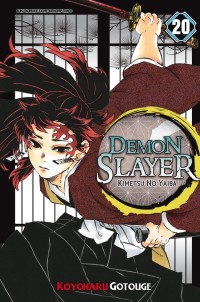 Demon Slayer Kimetsu No Yaiba