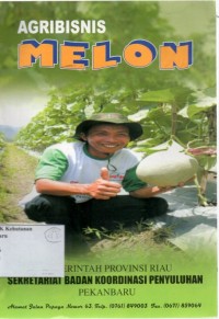 Agribisnis Melon