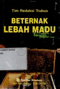 Beternak Lebah Madu