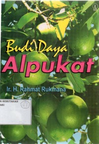 Budidaya Alpukat