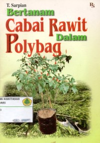 Bertanam Cabai Rawit Dalam Polybag