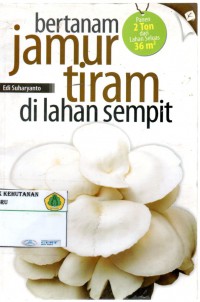 Bertanam Jamur Tiram di Lahan Sempit