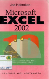 Microsoft Excel 2002