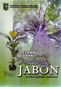 Peluang Usaha Pembibitan Jabon  (antthocephalus cadamba)