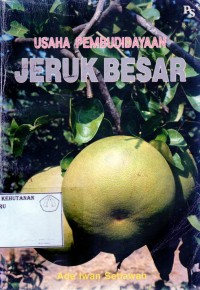 Usaha Pembudidayaan Jeruk Besar