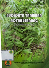 Budidaya Tanaman Rotan Jernang (Daemonorops Sp)