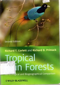 Image of Tropical Rain Forest